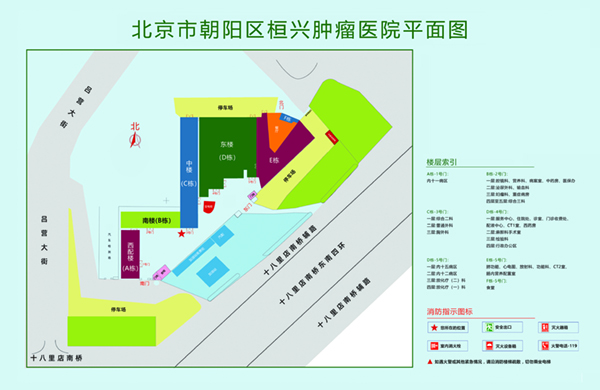 鸡巴日我逼北京市朝阳区桓兴肿瘤医院平面图